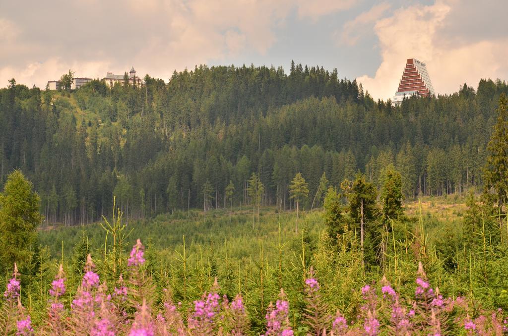 Apartman Panorama 213, Studio Comfort Štrbské Pleso Δωμάτιο φωτογραφία
